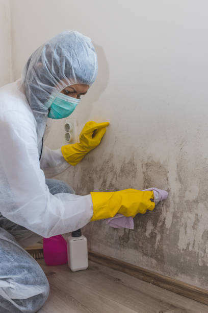 Best Dehumidification Services  in Stratford Downtown, CT